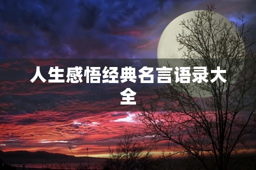 人生感悟经典名言语录大全(人生感悟经典名言语录大全图片)