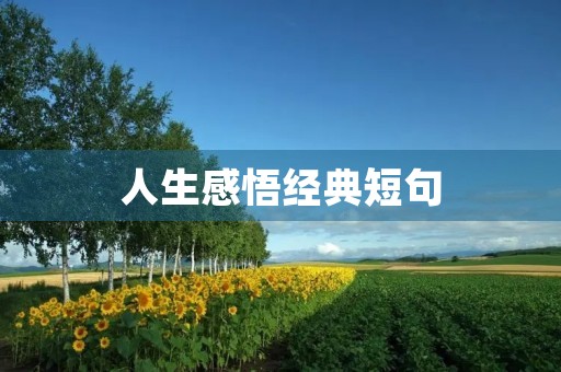 人生感悟经典短句(人生感悟经典短句子) 人生感悟经典短句(人生感悟经典短句子)