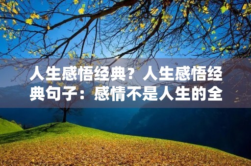 人生感悟经典？人生感悟经典句子：感情不是人生的全部