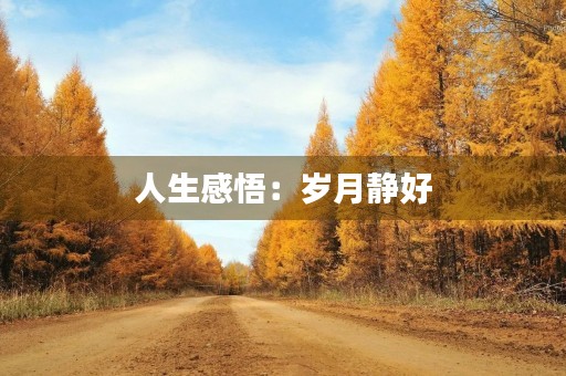 人生感悟：岁月静好，珍惜当下