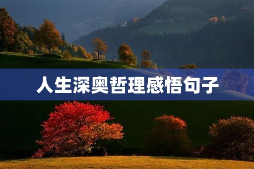 人生深奥哲理感悟句子，人生深奥哲理感悟句子简短