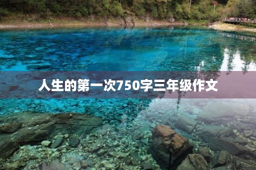 人生的第一次750字三年级作文