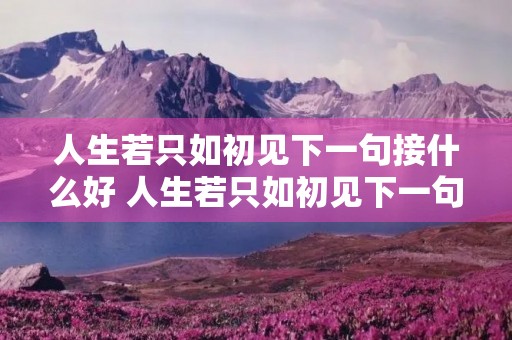 人生若只如初见下一句接什么好 人生若只如初见下一句接什么好我是否可以选择不见 人生若只如初见下一句接什么好 人生若只如初见下一句接什么好我是否可以选择不见