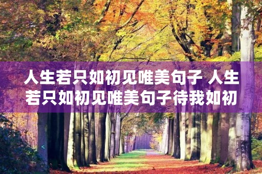 人生若只如初见唯美句子 人生若只如初见唯美句子待我如初见完整句子