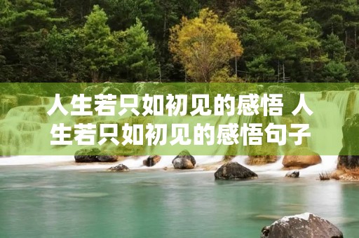 人生若只如初见的感悟 人生若只如初见的感悟句子 人生若只如初见的感悟 人生若只如初见的感悟句子