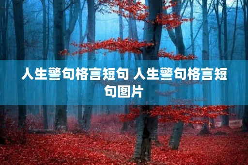 人生警句格言短句 人生警句格言短句图片