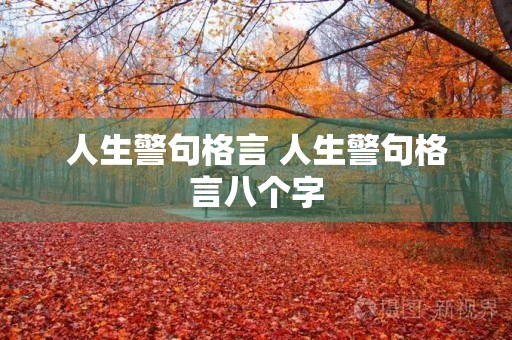 人生警句格言 人生警句格言八个字 人生警句格言 人生警句格言八个字