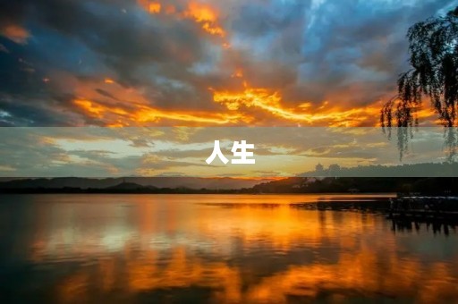 人生，这场永不停歇的奔跑