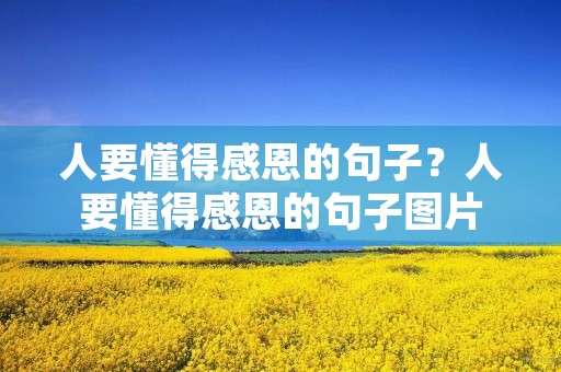 人要懂得感恩的句子?人要懂得感恩的句子图片 人要懂得感恩的句子?人要懂得感恩的句子图片