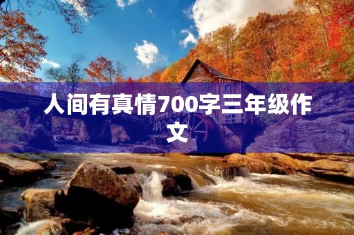 人间有真情700字三年级作文