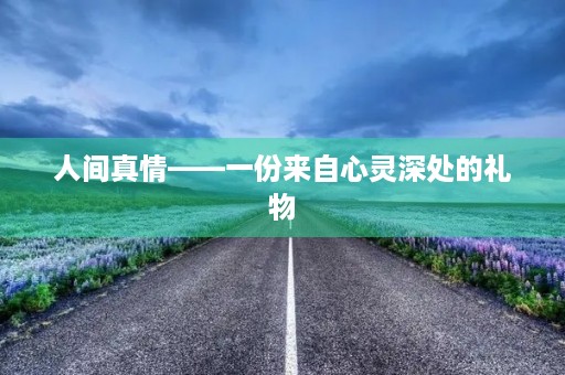 人间真情——一份来自心灵深处的礼物