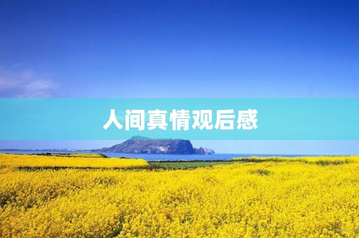 人间真情观后感 人间真情观后感
