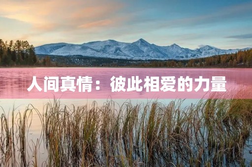 人间真情：彼此相爱的力量