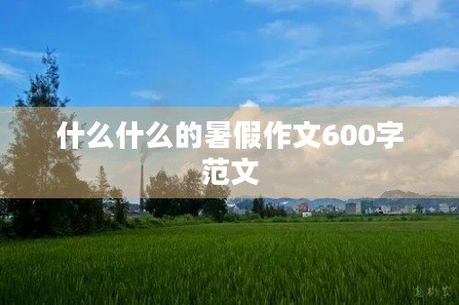 什么什么的暑假作文600字范文