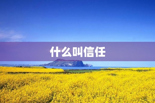 什么叫信任 什么叫信任