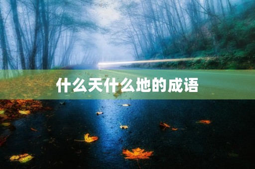 什么天什么地的成语