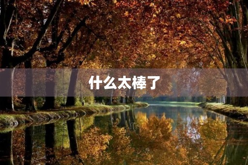 什么太棒了