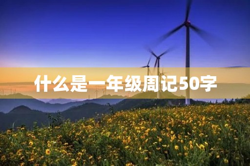 什么是一年级周记50字