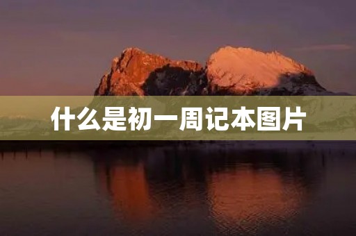 什么是初一周记本图片