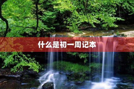 什么是初一周记本