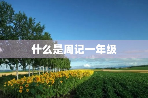 什么是周记一年级 什么是周记一年级