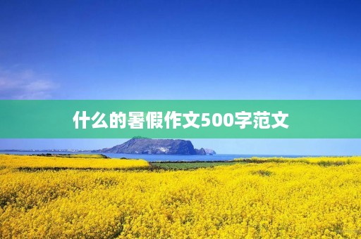 什么的暑假作文500字范文