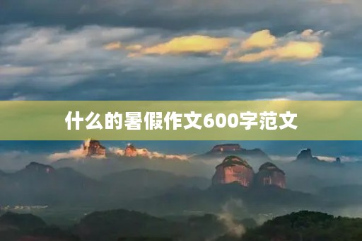什么的暑假作文600字范文