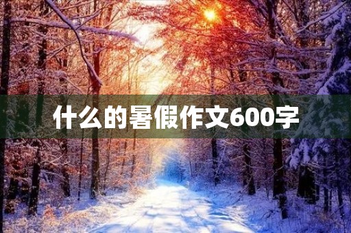什么的暑假作文600字