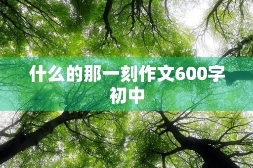 什么的那一刻作文600字初中 什么的那一刻作文600字初中