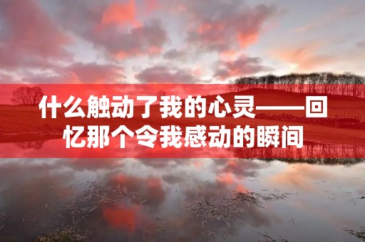 什么触动了我的心灵——回忆那个令我感动的瞬间