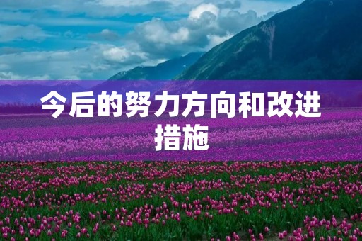 今后的努力方向和改进措施