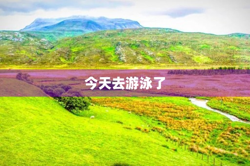 今天去游泳了 今天去游泳了
