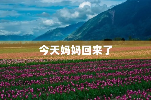 今天妈妈回来了