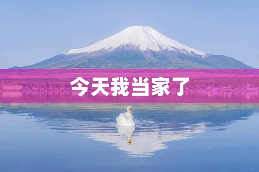 今天我当家了 今天我当家了