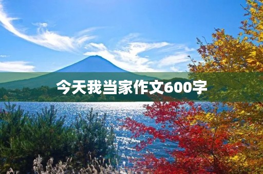 今天我当家作文600字 今天我当家作文600字