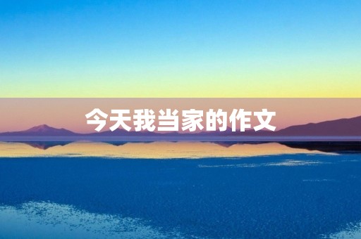 今天我当家的作文