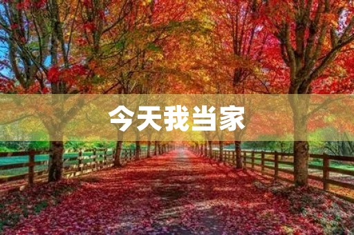 今天我当家，体验成为家庭主妇的生活