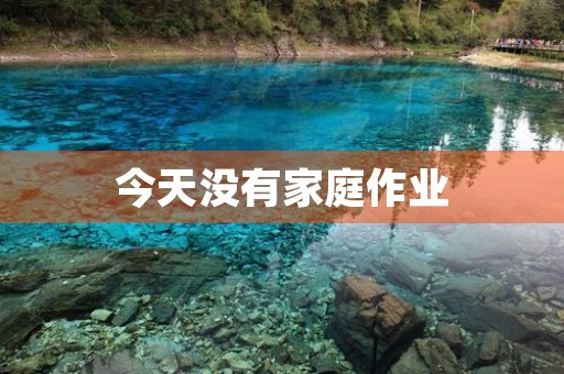 今天没有家庭作业,我该如何度过这宝贵的时间? 今天没有家庭作业,我该如何度过这宝贵的时间?