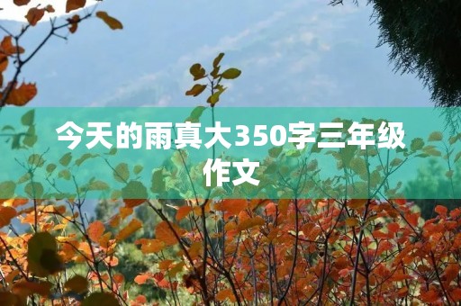 今天的雨真大350字三年级作文