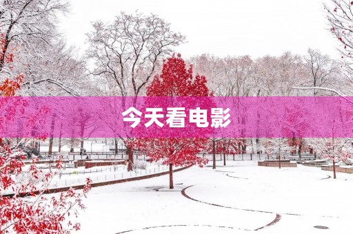 今天看电影