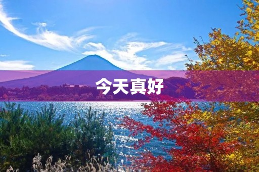 今天真好 今天真好