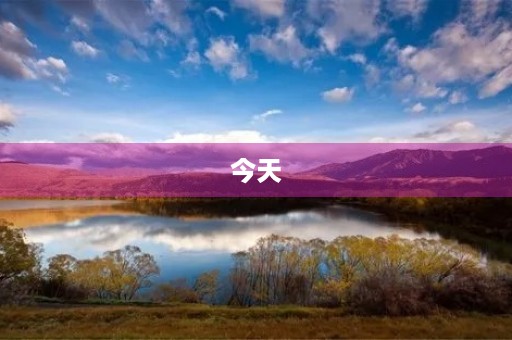 今天，你洗手了么300字