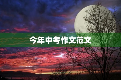 今年中考作文范文 今年中考作文范文
