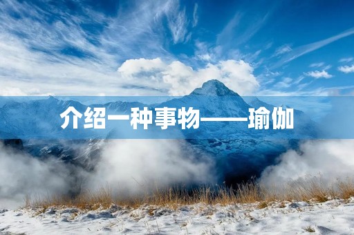 介绍一种事物——瑜伽