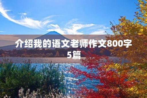 介绍我的语文老师作文800字5篇