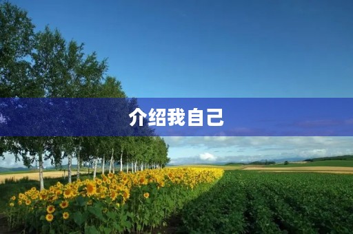 介绍我自己 介绍我自己