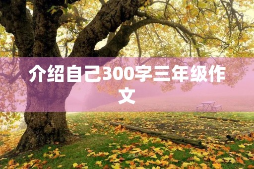 介绍自己300字三年级作文