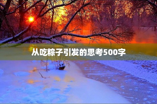 从吃粽子引发的思考500字