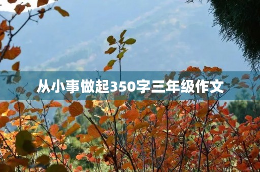 从小事做起350字三年级作文