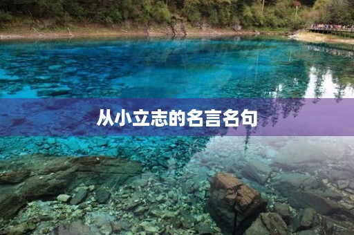 从小立志的名言名句，少年立志成才的名言